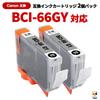Warranty Canon Compatible Cartridge GY for PIXUS Set of Bell Color 3-Year BCI-66 PRO-S1, Gray, 2,