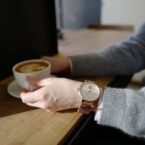 TAX DAY & NIGHT Quartz Watch TS1602E, Officially Imported, Brown