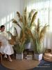 Natural Reed Faux Flowers & Potted Greenery for Home Decor
