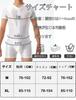 Full Body Wrestling XL [Maeau] Men's Bodysuit, Tights, Sheer, Singlet, Shiny, Costume, Cosplay, Wear, See-through, Stretch, One-piece, Jumpsuit,
