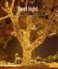 Popular Black Wire LED Starry String Lights for Camping, Picnic, Festival, and Christmas Decorations