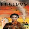 Fireboy by Dean Whitlock Paperback Book 9780990902591