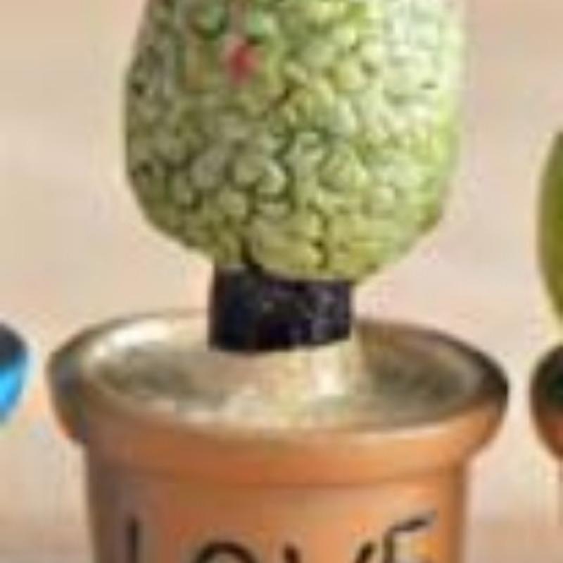 Moss Micro-landscape Ecological Bottle Simulation Small Potted PlantCactus Decorative ItemDesktop Resin Small Item