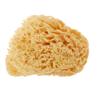 Natural Sea Sponge Honeycomb Type Body Sponge Made by Italy 14cm To 16cm Italian Bellini Natural Sea Sponge Highest Quality Silk Type Sponge Atopic