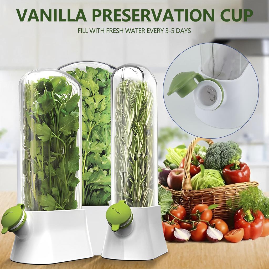 Herb Saver for Refrigerator Tall Shape Herb Keeper with Clear Window Cilantro Containers Fresh Herb Keeper Herb Saver Container