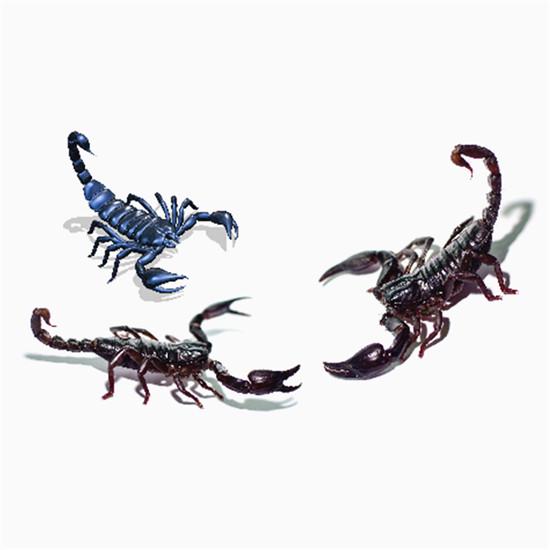 

Водонепроницаемая 3D наклейка насекомых 03