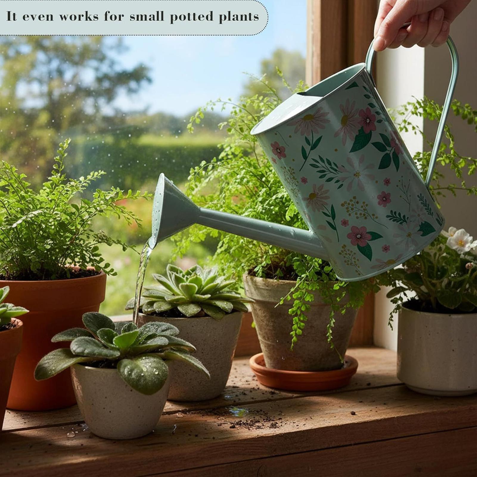 2L Long Mouth Watering Can Spout Flower Watering Pot Flowers Flowerpots Watering Kettle Large capacity watering can