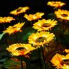 Solar Powered Sunflower Light Outdoor Waterproof LED Ground Insert Lawn Lamp For Garden Lawn Courtyard Decoration