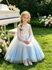 Elsa-Style Embroidered Beaded Girls' Ice Queen Dress: Birthday and Piano Performance Gown