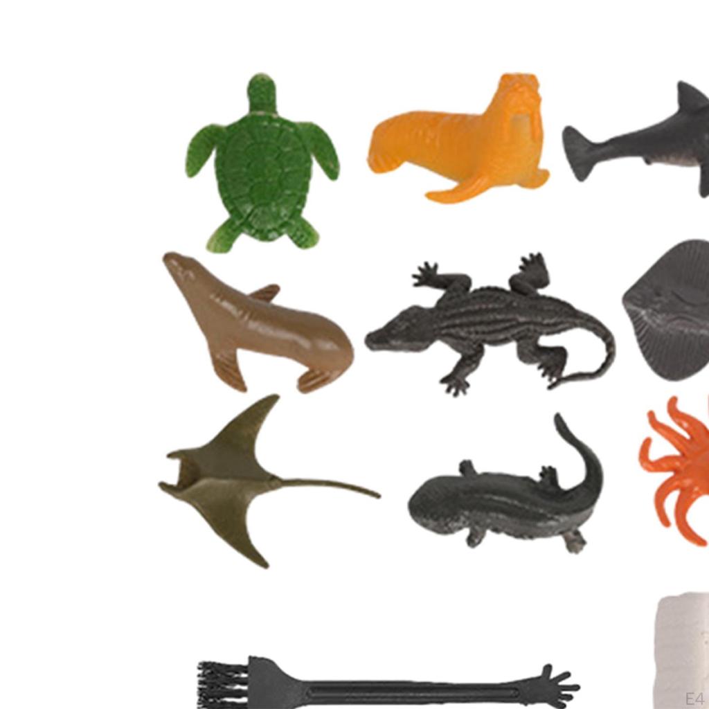 Archaeology Discovery Excavation Kits Stem Activities DIY Digging Toys for Children