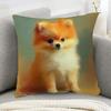 1pc Pillowcase, 2D Flat Printing, Single-Sided Print (No Pillow Insert), 17.72 X 17.72 Inches (45 X 45 Cm), Non-Real Embroidery, Cute Pomeranian Pillo