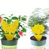 36Pcs Yellow Armyworm Trap Trap Board Sticky Trap Fruit Fly Insect Fly Pest Trap
