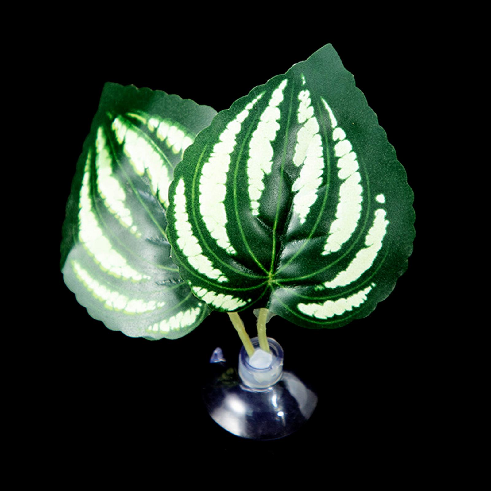 

Присоска для лежака из листьев для рыбок Betta, гамак, аквариумы, нерестилища, листовые подстилки, аквариумы, принадлежности для разведения Y1