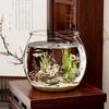 Hydroponic Plant Ecological Tank Transparent Round Ornamental Fish Tank Clear Small Fish Tank Goldfish Bowl Home Desk Decoration