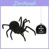 Large Rc Spider Model With Realistic Design For Teen Pranks And Play