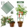 12/24 Piezas Brazos de Estaca para Jaula de Tomates de Jardín Ayuda para el Crecimiento de Plantas Soporte de Tallo de Planta