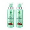 Bienen & Blume Kräuteressenz Seidenglatte Haarpflege Shampoo 2 x 500ml