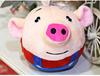Musical Seaweed Bouncing Ball: Talking Pig, Rabbit, Dog Plush Toy for Kids