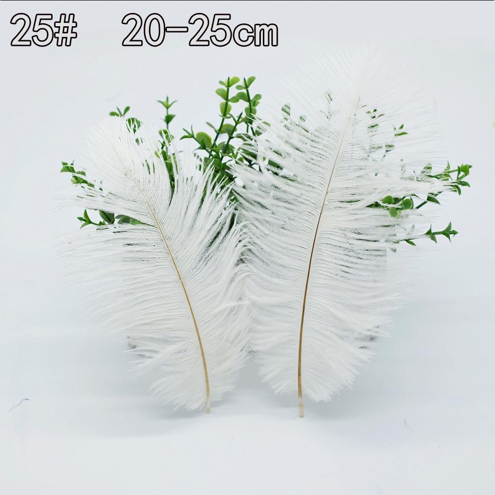 Weiße Feder Kollektion: DIY Handgemachte Bekleidungsaccessoires mit Gänse- und Truthahnfedern