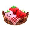 Nakajima Corporation Pickles Strawberry Strawberry Picking Set 192332-24
