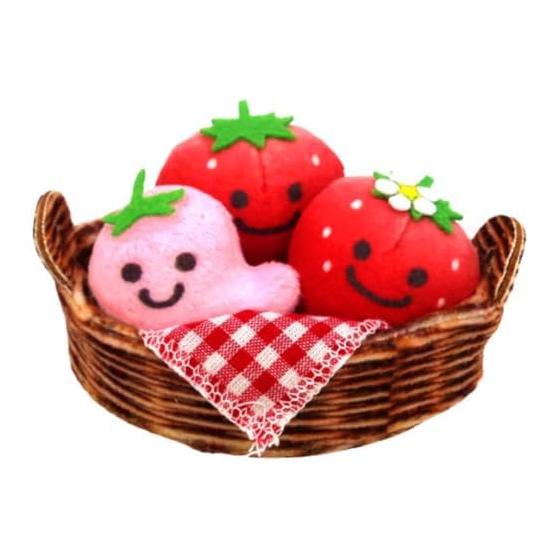 Nakajima Corporation Pickles Strawberry Strawberry Picking Set 192332-24