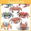 Beautifully Crafted Crab Models Realistic Details Perfect For Collectors And Ocean Lovers