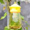 Fruit Fly Trap Killer Yellow Plastic Drosophila Trap Anti Fly Fruit Fly Killer Catcher Orchard Insect Trap Pest Control Products