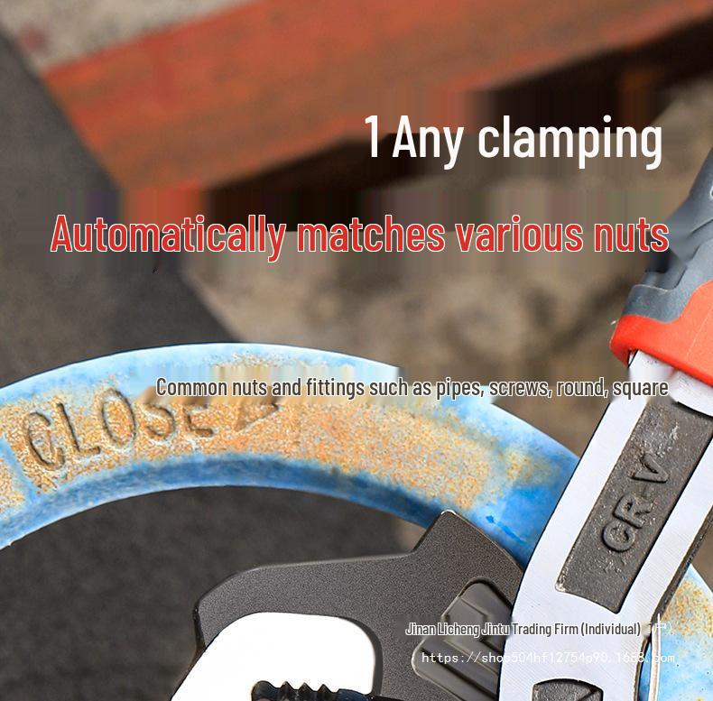 10-Inch Chroom Vanadium Staal Snel Zelfvergrendelende Verstelbare Moersleutel - Multifunctioneel, Industriële Kwaliteit, Hoge Hardheid.