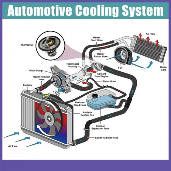 Engine Coolant Thermostat Housing Assembly ONE  for Kia Sedona 2002-2005