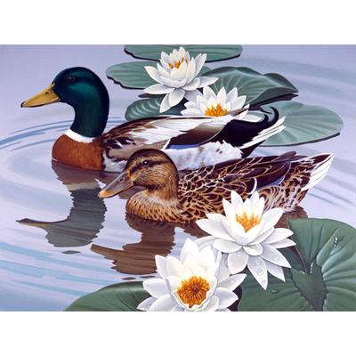 Diamant Stickerei Mandarin Ente 5D DIY Diamant Malerei Kreuzstich Home Decor Geschenke