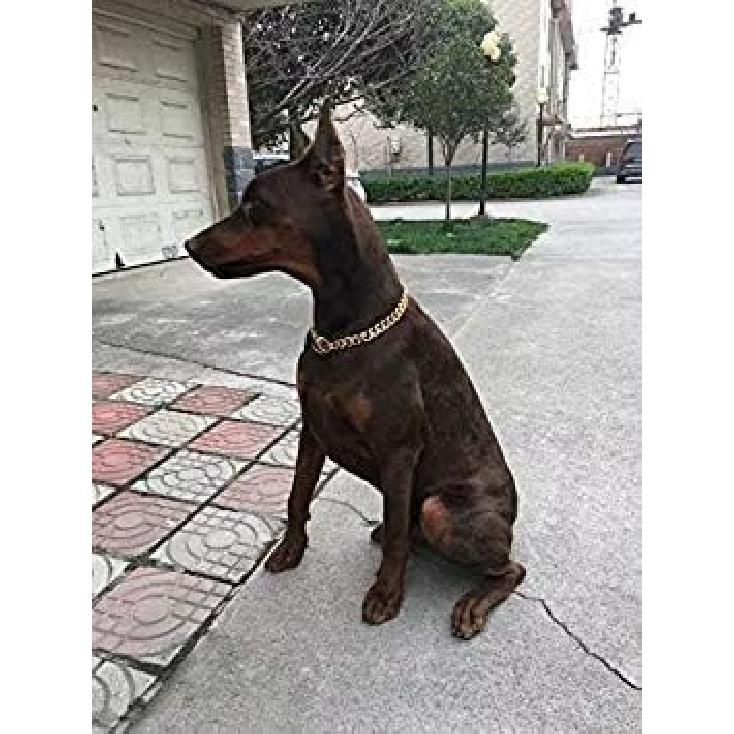 Chain Dog Collar 18K Gold Cuban Link Dog Chain Chain Collar Metal Stainless Steel Heavy Duty Slip Dog Collars for Small, Medium, and Large Dogs(15MM,