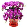 Phalaenopsis Silk Flower Arrangement in Red Ceramic Pot for Indoor Decoration or Weddings