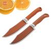 Stainless Steel Kitchen Fruit Knife Paring Knife Slicing Knife ABS Handle