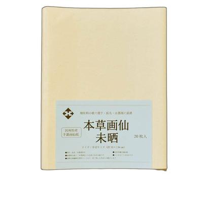 20 Sheets of Inshu Handmade Paper ``Honzo Gasen, Unbleached'' Half-cut