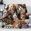 Cute Cat Flannel Digital Print Blanket Sofa Blanket Office Nap Blanket