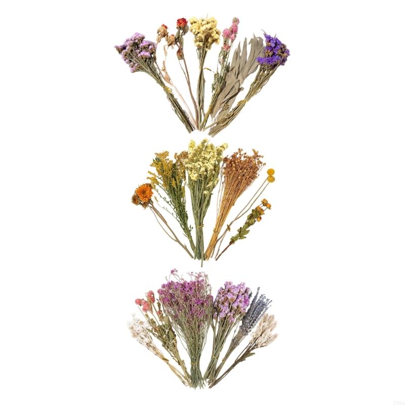 Decorative Colorful Dried Floral Bedding Set for Small Pet Creates Natural Flower Habitat