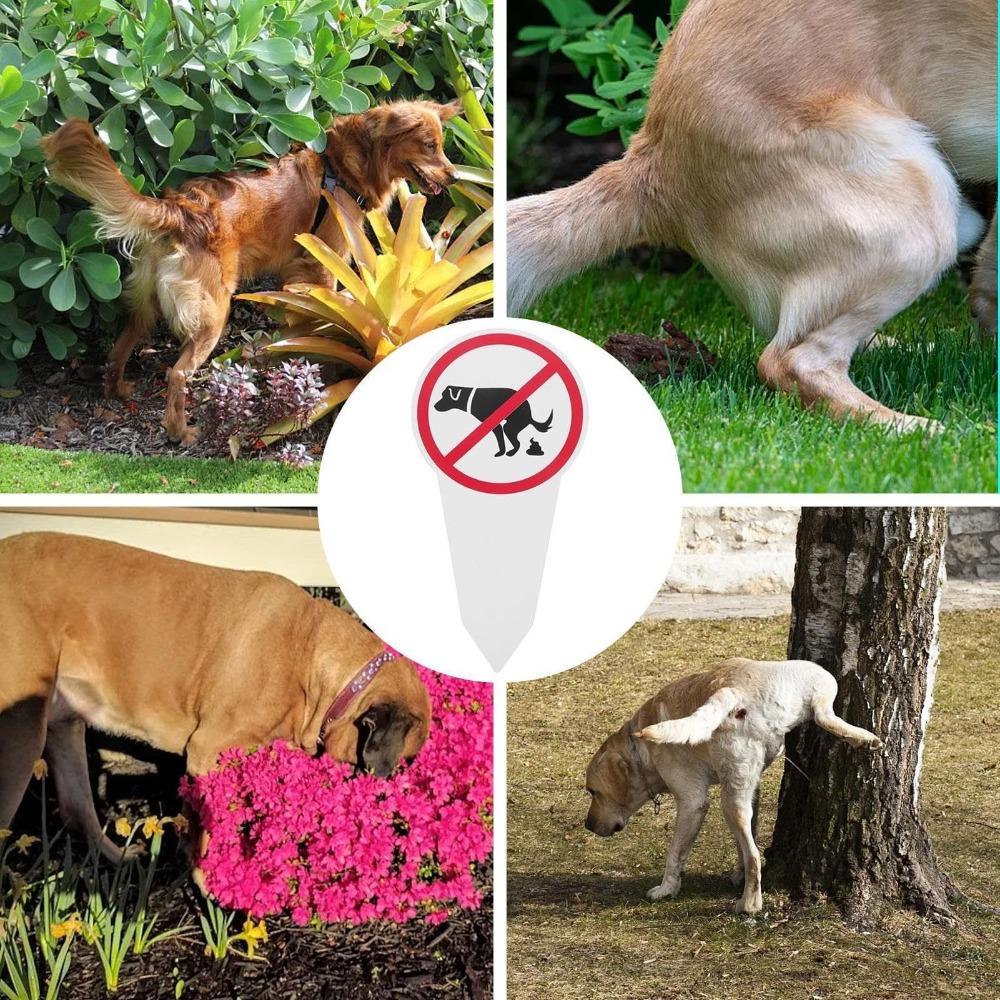 Hot Double Sided No Dog Poop Sign Chevron Board Painted Dog Walking Warning Sign Stake Sign Weatherproof No Pooping Sign Park