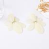 Simple fashion elegant temperament irregular geometric shape resin white plate earrings light luxury women's earrings