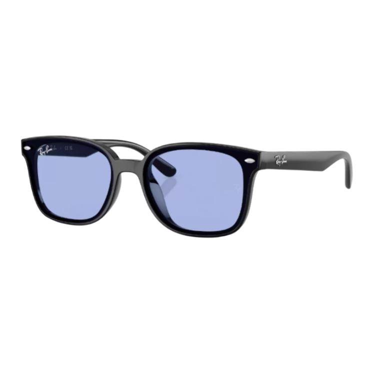 Ray-Ban Logo Design Cat Eye Sunglasses Unisex sunglasses Black RB4461D-601/80