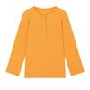 Korean Thin Striped Long-sleeved T-shirt Women's Summer Sunscreen Blouse Design Niche Loose Lazy Style Top