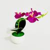 1 Set Fake Bonsai Realistic Anti Fade Faux Silk Flower Flexible Party Fake Butterfly Orchid Flowers Plant for Decorating
