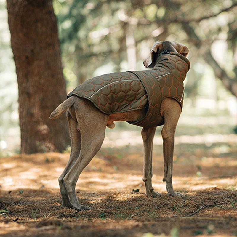 Warm Clothes For Dogs In Winter Dog Down Jacket Padded Clothes Pet Supplies Suitable Small Medium Large Dog Outdoor Warm Clothes