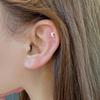 Pendientes – Pendientes de clavel