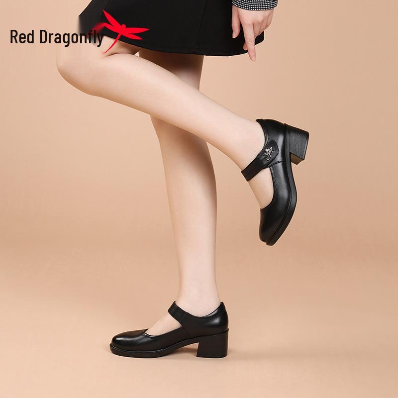 Red Dragonfly Women's Mary Jane Summer High Heels: Thick Sole Leather Casual Shoes