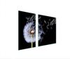 GLAS-KOCHFELD-SCHUTZPLATTE 90x52 BLUME