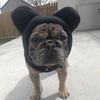 Winter Pet Hat Fleece Dog Warm Hat Ears Hoodie Scarf Set Pet Cat Dog Hat Headgear Warm Earmuffs Dog Warmth Accessories Outfits