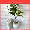 Potted Hevea Brasiliensis Artificial Tree With Realistic Leaves For Home Decor And Photography Props