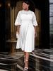 Plus Size Lace Lantern Sleeve Dress with Pleated Skirt - Christmas Gift