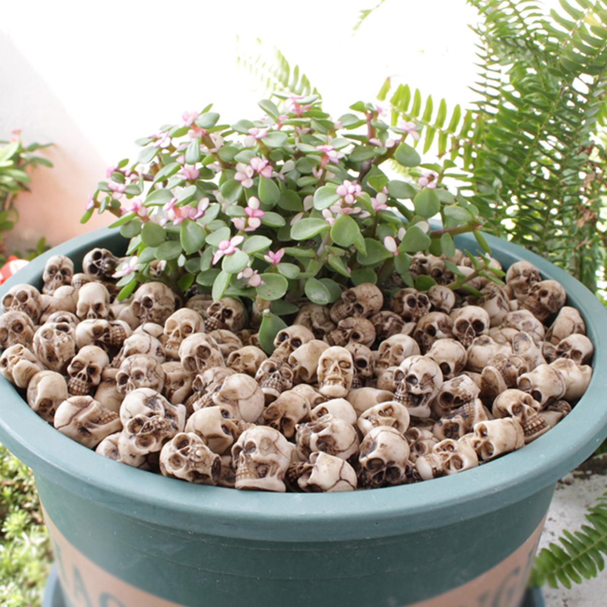 

20-PCS Miniature Skeleton Heads, Bonsai Decorative Fill Statues, Garden Laying Statues, Aquarium Decoration Scene Setup слоновая кость