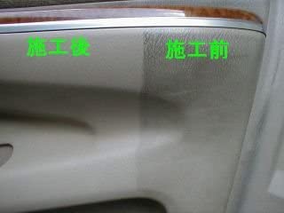 Carpical Professional Powerful Cleaner, 1L [Engine Compartment/Oil Stain Cleaner]